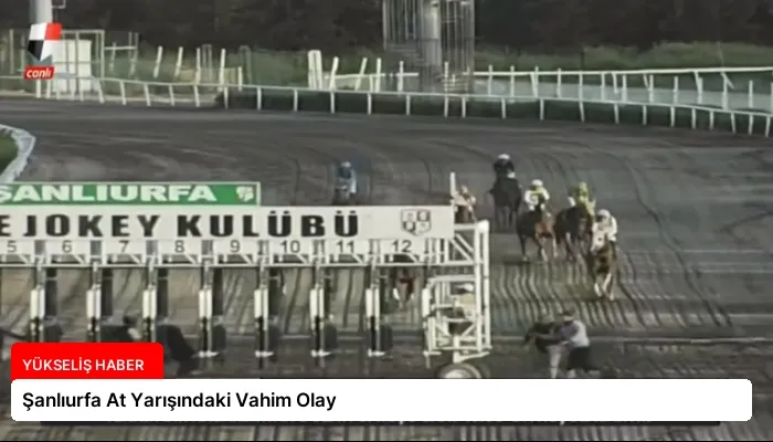 Şanlıurfa At Yarışındaki Vahim Olay