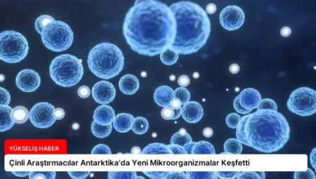 Çinli Araştırmacılar Antarktika’da Yeni Mikroorganizmalar Keşfetti