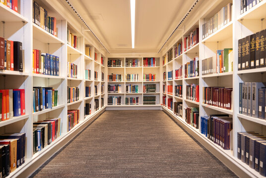 A Library Without Borders