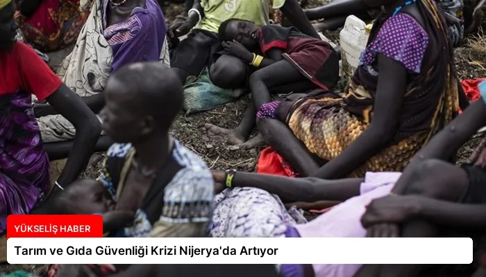 Tarım ve Gıda Güvenliği Krizi Nijerya’da Artıyor