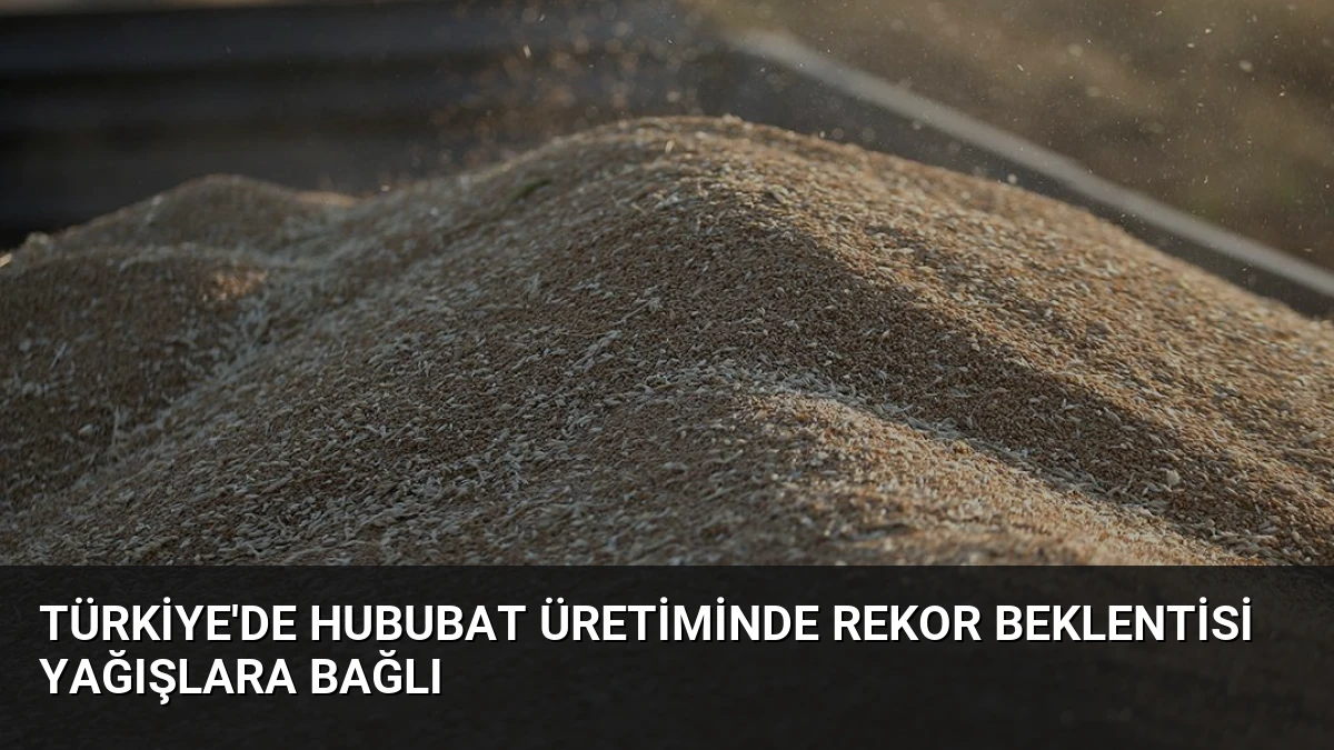 Türkiye’de Hububat Üretiminde Rekor Beklentisi Yağışlara Bağlı