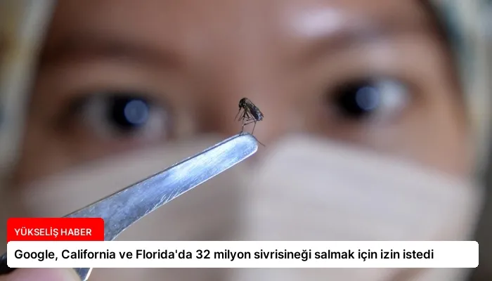 Google, California ve Florida’da 32 milyon sivrisineği salmak için izin istedi