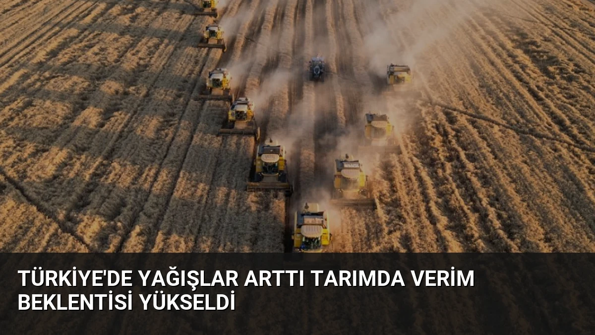 Türkiye’de Yağışlar Arttı Tarımda Verim Beklentisi Yükseldi