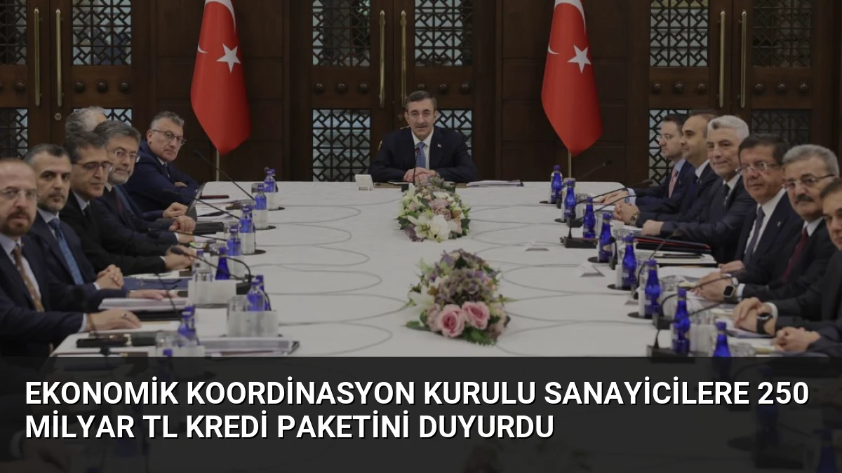 Ekonomik Koordinasyon Kurulu Sanayicilere 250 Milyar TL Kredi Paketini Duyurdu