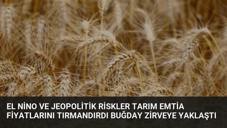 El Nino ve Jeopolitik Riskler Tarım Emtia Fiyatlarını Tırmandırdı Buğday Zirveye Yaklaştı