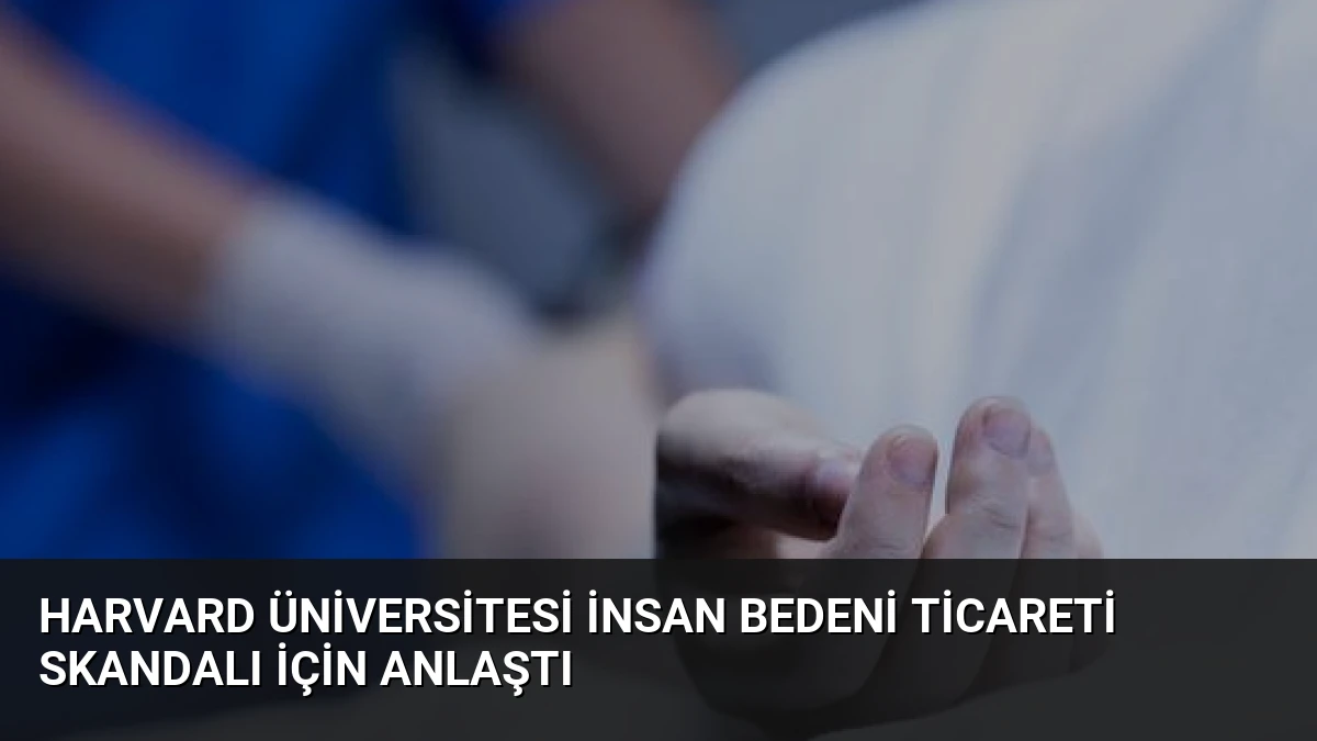 Harvard Üniversitesi İnsan Bedeni Ticareti Skandalı İçin Anlaştı