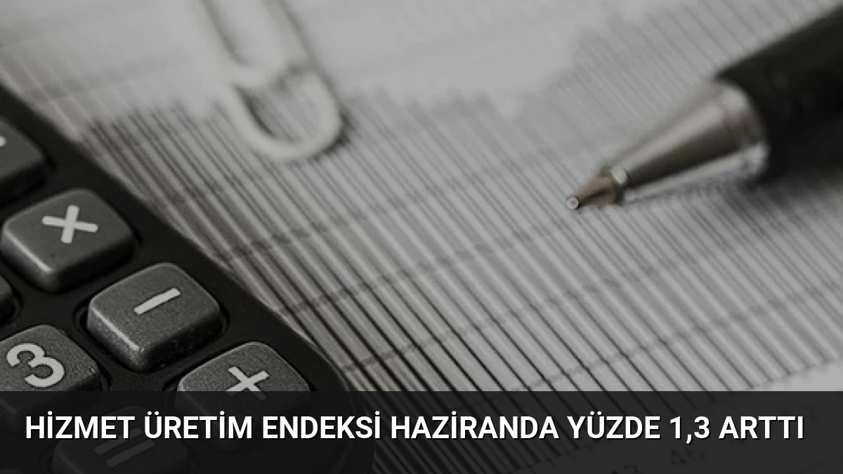Hizmet Üretim Endeksi Haziranda Yüzde 1,3 Arttı