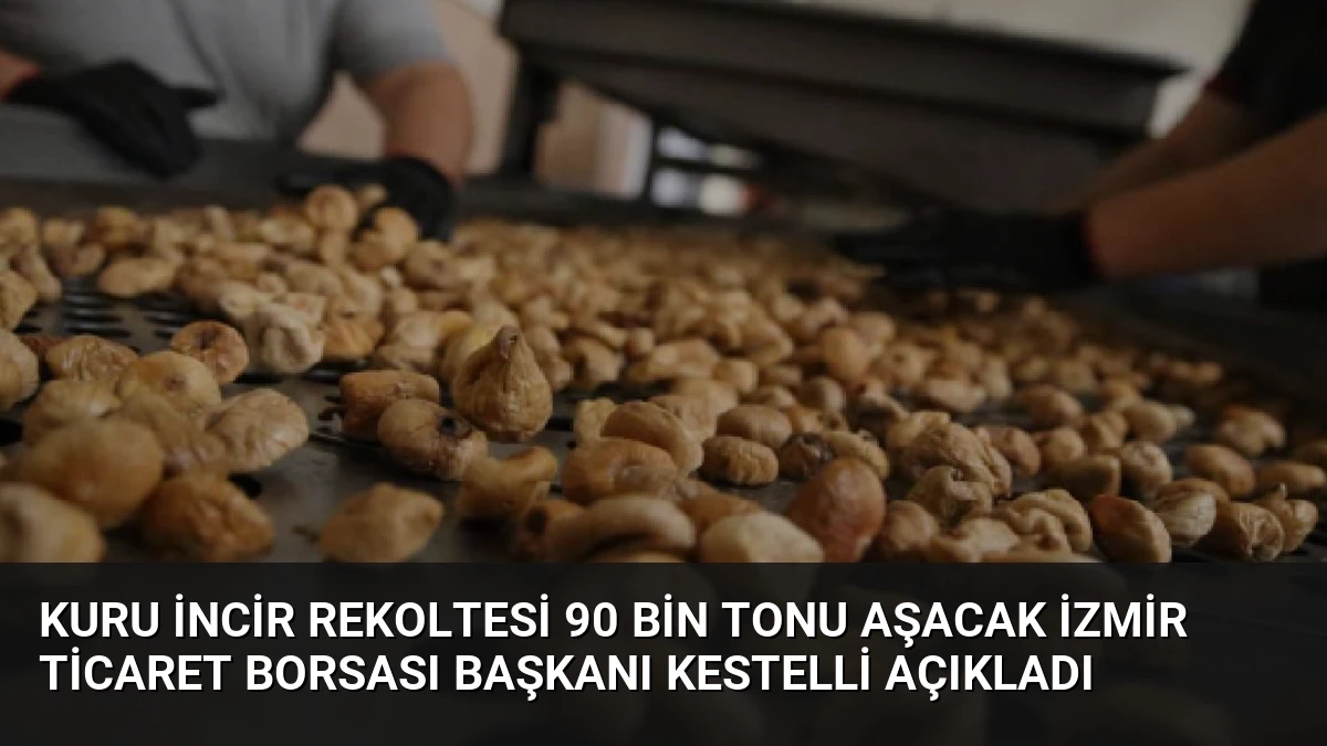 Kuru İncir Rekoltesi 90 Bin Tonu Aşacak İzmir Ticaret Borsası Başkanı Kestelli Açıkladı