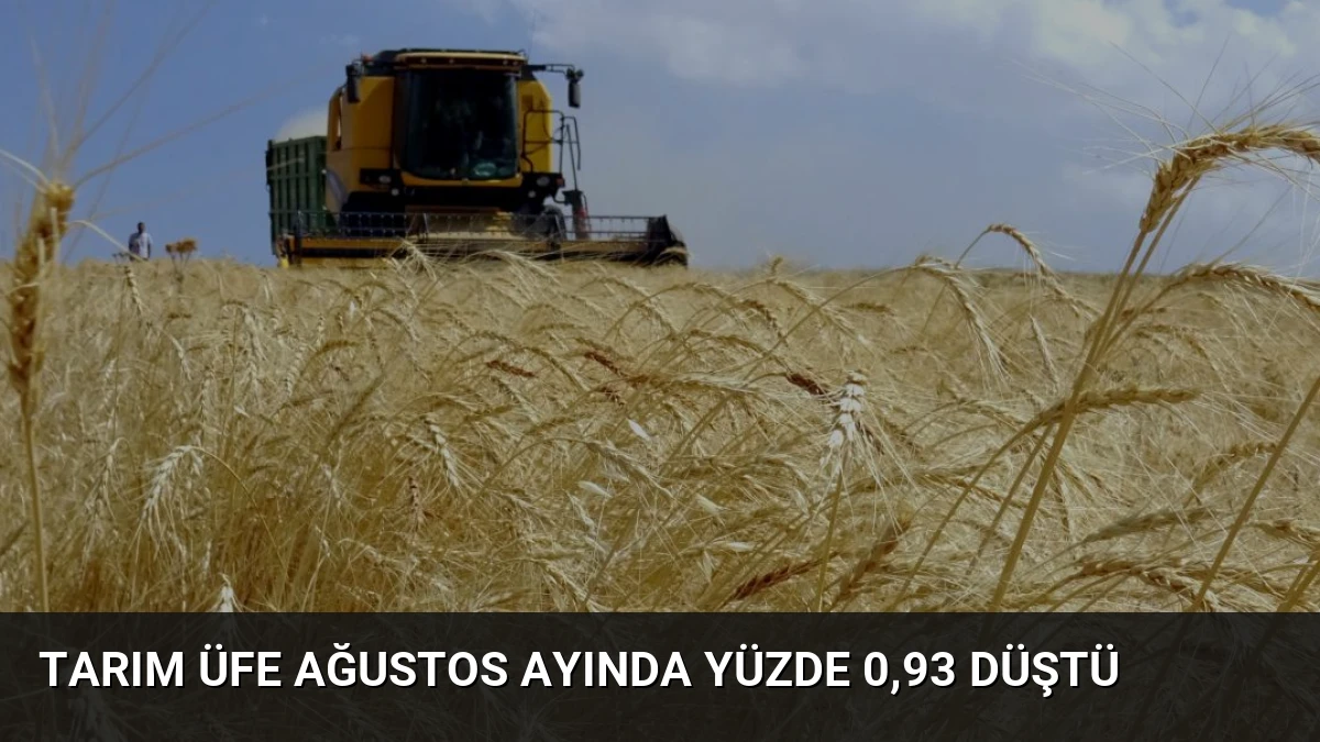 Tarım ÜFE Ağustos Ayında Yüzde 0,93 Düştü