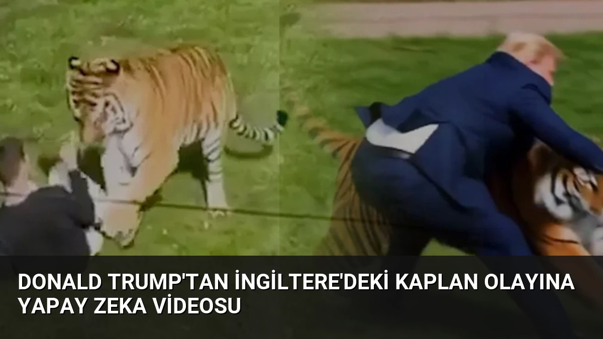 Donald Trump’tan İngiltere’deki Kaplan Olayına Yapay Zeka Videosu